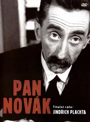 Pan Novák poster