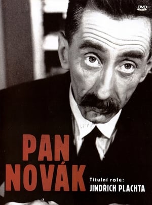 Image Pan Novák