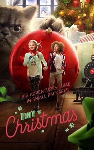 Poster Tiny Christmas (2017)