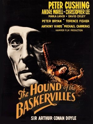 The Hound of the Baskervilles