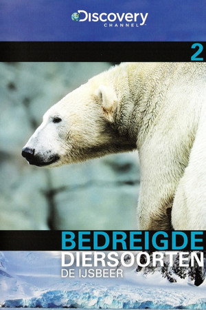 Bedreigde Diersoorten 02: De Ijsbeer