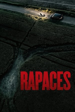Vultures