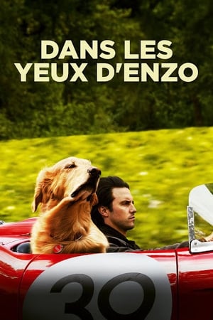 Dans les yeux d'Enzo (2019)