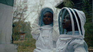 The Boys and the Bees