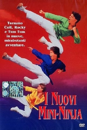 I nuovi mini ninja 1994