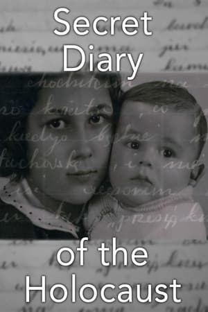 Poster The Secret Diary of the Holocaust (2009)