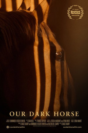 Our Dark Horse