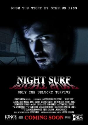 Poster Night Surf 2002