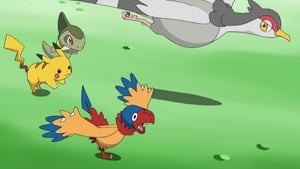 Pokémon Season 14 Episode 36