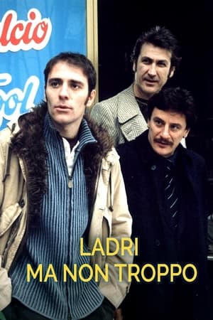 Poster Ladri ma non troppo (2003)