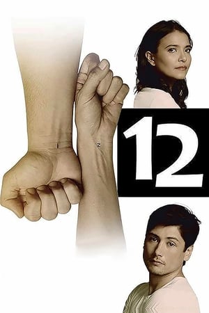 12 poster