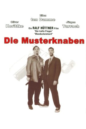 Die Musterknaben poster