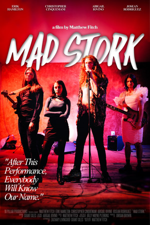 Mad Stork