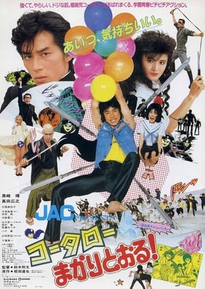 Poster 功夫旋风儿 1984