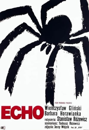 Poster Echo 1964