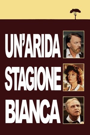 Un'arida stagione bianca 1989