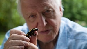 David Attenborough’s Natural Curiosities: 3×6