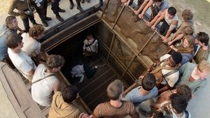 The Maze Runner (2014)