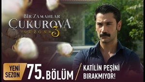 Bir Zamanlar Çukurova: 3×12