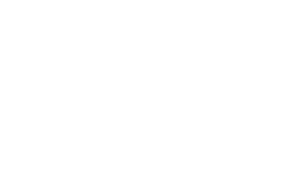 The Visit