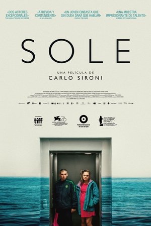 Image Sole