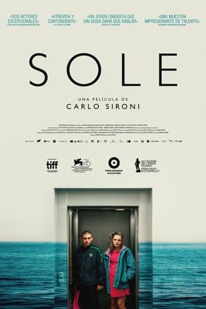 Poster Sole 2019