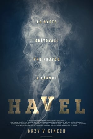 Image Havel