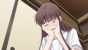 Fruits Basket (2X02) Online Sub Español HD