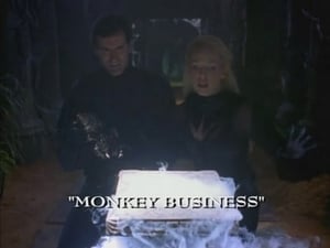 Image Monkey Business