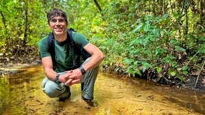 Wilderness with Simon Reeve Congo