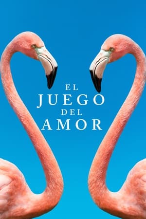 El juego del amor