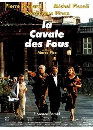 La cavale des fous poster