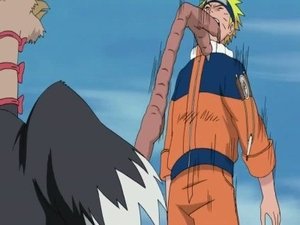 Naruto Shippūden: Season 9 Episode 185 – Animal District