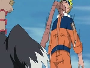 Naruto Shippuden Episódio 185 – Distrito Animal!