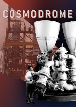 Poster Cosmodrome (2008)