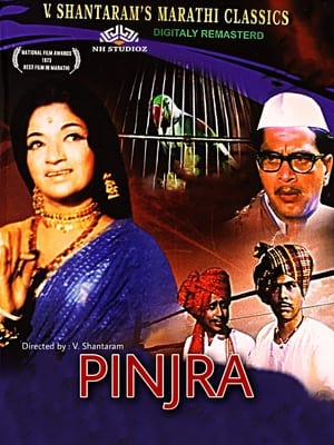 Poster पिंजरा 1972