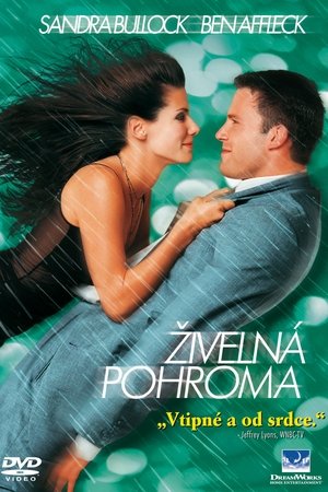 Poster Živelná pohroma 1999