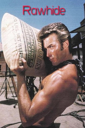 Rawhide 26