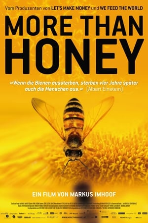 Poster More than Honey - Bitterer Honig 2012