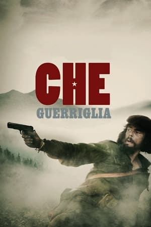 Poster Che - Guerriglia 2008