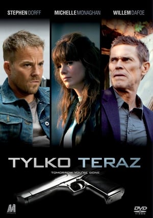 Poster Tylko teraz 2012