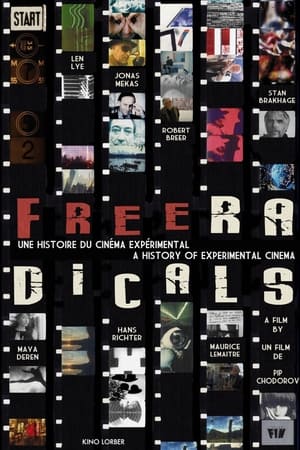 Poster Free Radicals 2011