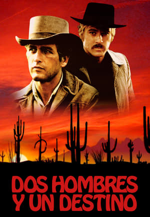 Poster Dos hombres y un destino 1969