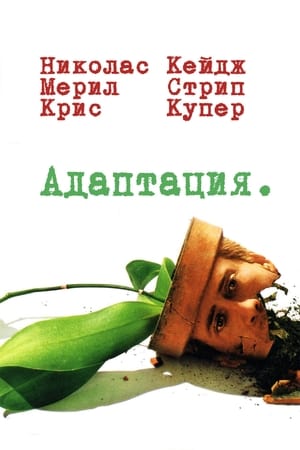 Poster Адаптация 2002