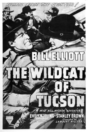 Poster The Wildcat of Tucson 1940