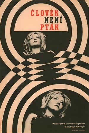 Poster Čovek nije tica 1965