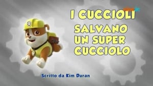 Paw Patrol 1×18