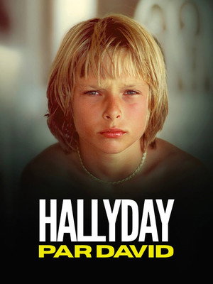 Hallyday par David 6