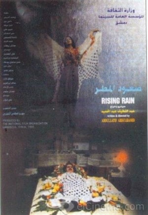 Poster صعود المطر 1995