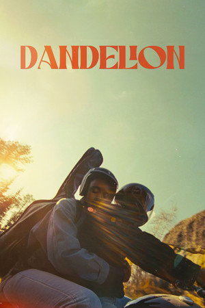 Dandelion 12
